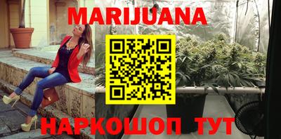 дживик Кингисепп