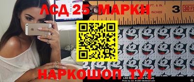 скорость Кимры