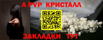 дживик Кингисепп