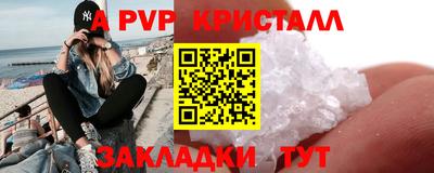 дживик Кингисепп